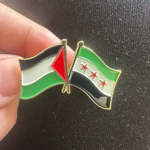 Palestine Syrian flags pin