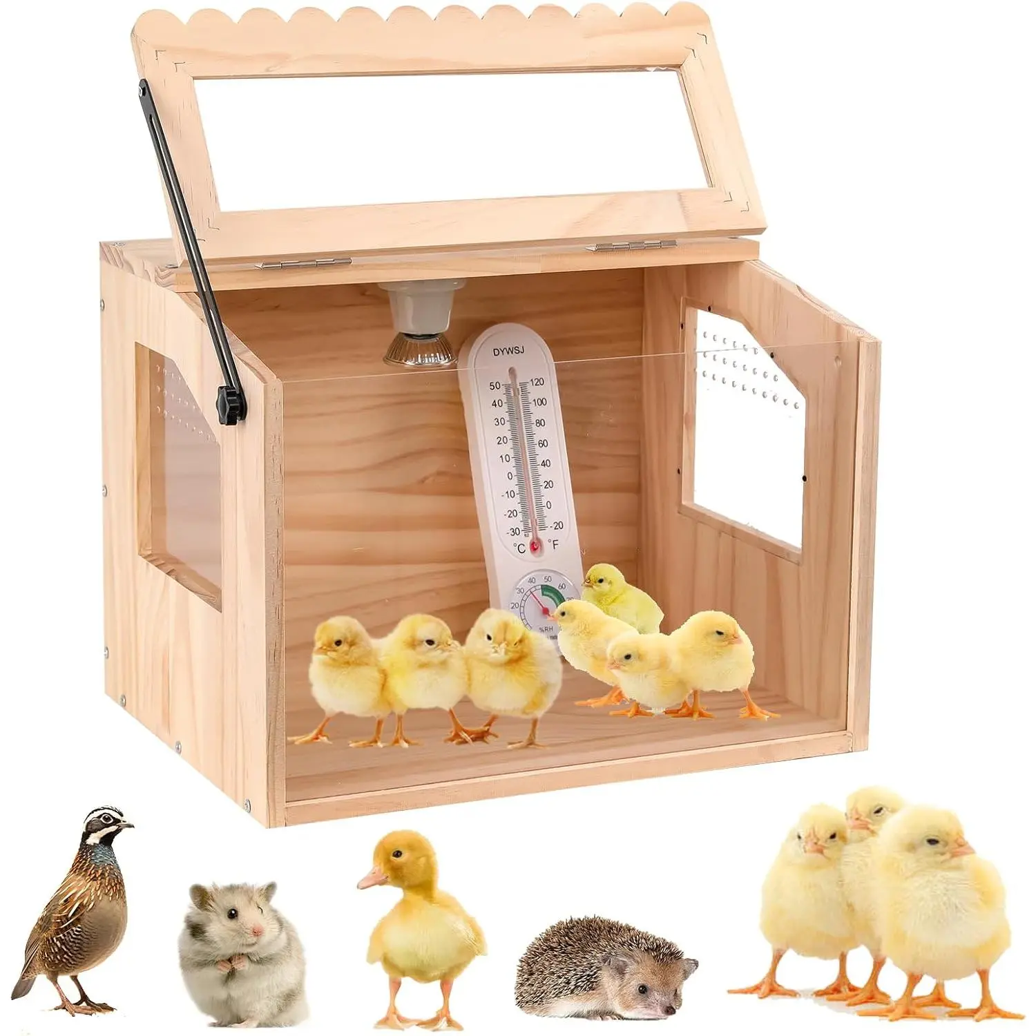 Brooder Box For Chick, Pine, Small Brooder Boxs For Chicks, Quail Cage, Brooder Boxs, Quail Cages, Ideal For Chicks, Ducks, Quails, Hamsters And Lizards,15.75'L X 11.8'W X 11.8'H.