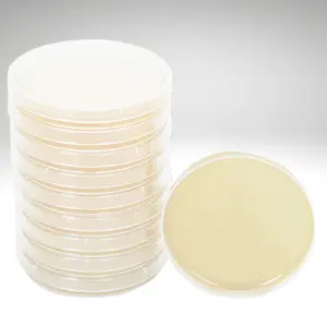 Pre-Poured Agar Plates - 10 Pack for Scientific Research and Laboratory Use