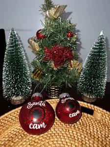Santa Cam Ornament