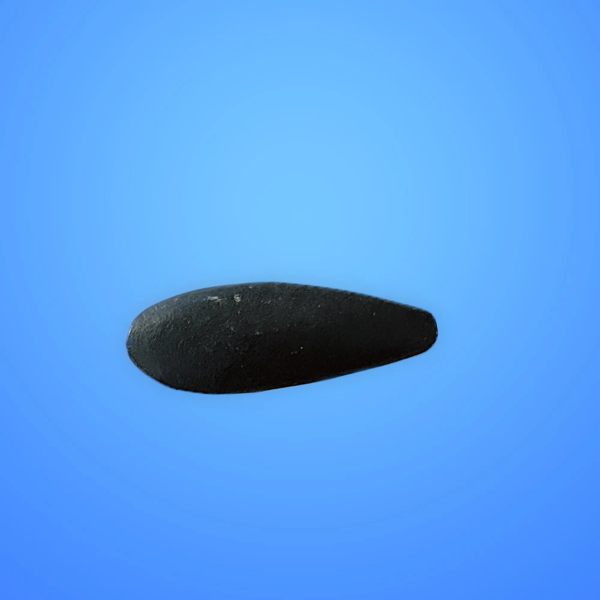 Thunder stone small piedra de rayo