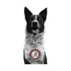 Littlearth NCAA Pet Fan Chain