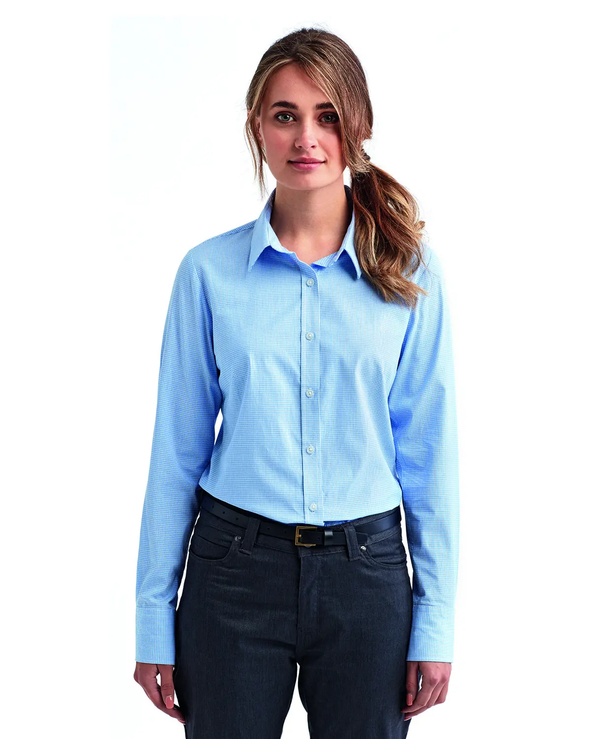 Artisan Collection by Reprime Ladies' Microcheck Gingham Long-Sleeve Cotton Shirt