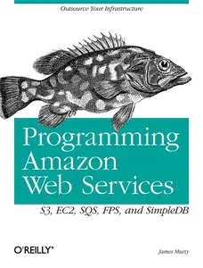 USED-Programming Amazon Web Services: S3, EC2, SQS, FPS, and SimpleDB by Murty, James (Paperback)