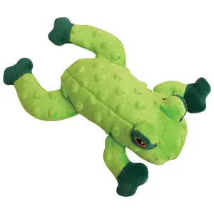 Lilly the Frog Lilly the Frog