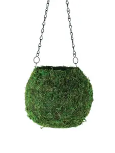 Kokedama Green Moss Ball Planter