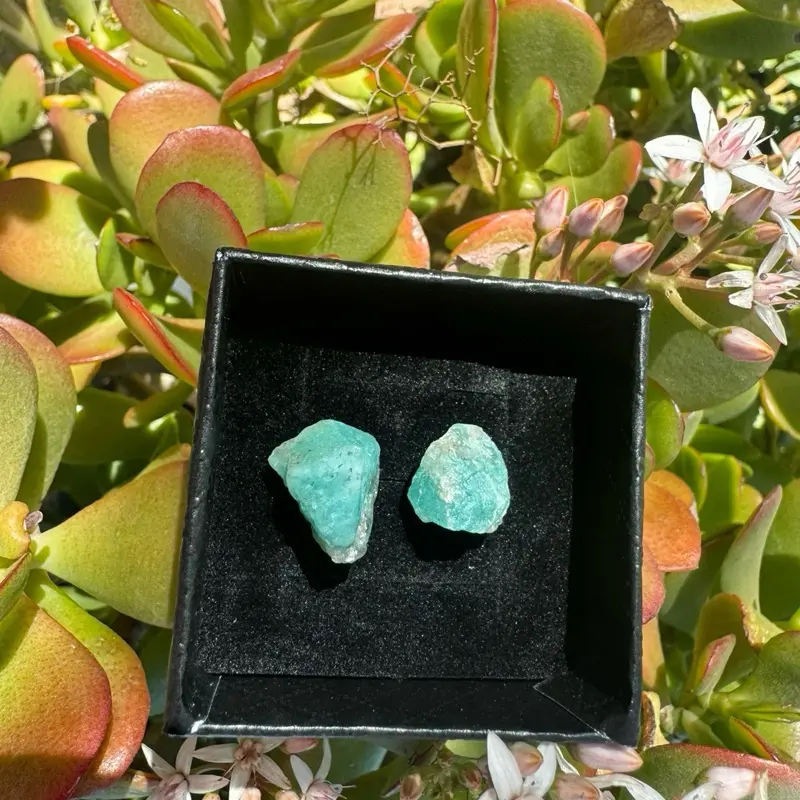 Raw Amazonite S925 Earrings - Natural Color with Unique Shape and Design