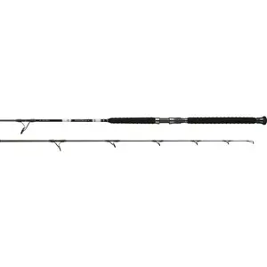 Daiwa Proteus EX Offshore Spinning Rod
