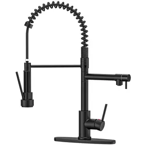 GPED Kitchen Faucet, Kitchen Sink Faucet with 2 Function Sprayer, SUS304 Stainless Steel & Double-Headed, Single Handle High Arc Kitchen Faucet with Pull Down Sprayer & Deck Plate