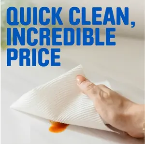 Paper Towels, Choose-A-Sheet, 12 Double Rolls