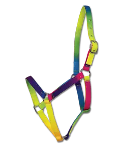 Rainbow Horse Halter