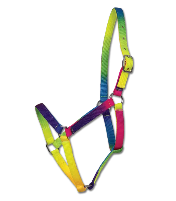 Rainbow Horse Halter