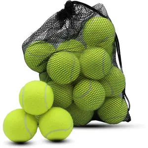 20 Pack Tennis Balls, Pet Dog Training Balls, Beginner Elasticity Practice Tennis Balls, with Mesh Carrying Bag Easy Transport