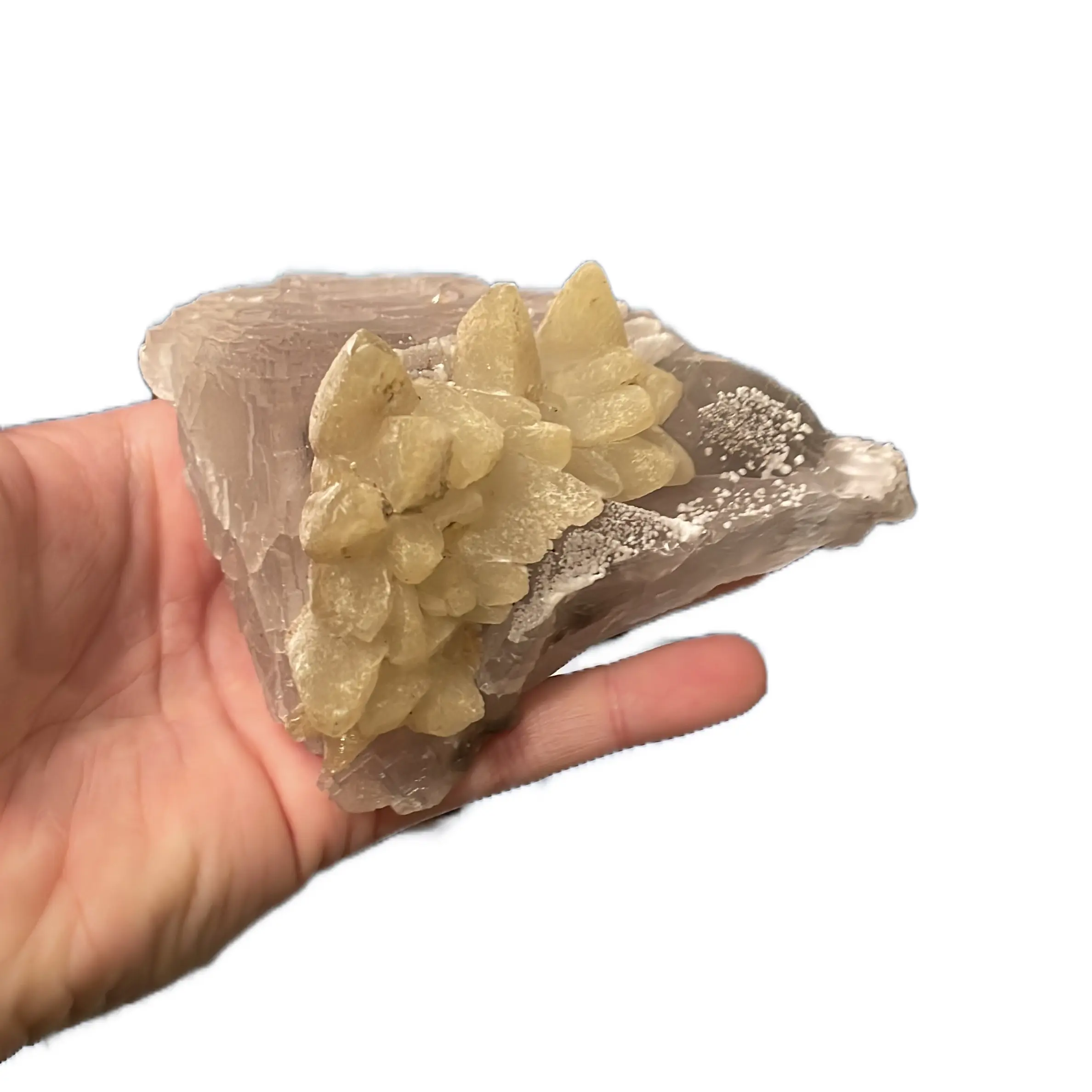 Lemon Dogtooth calcite crystals on light blue fluorite crystals
