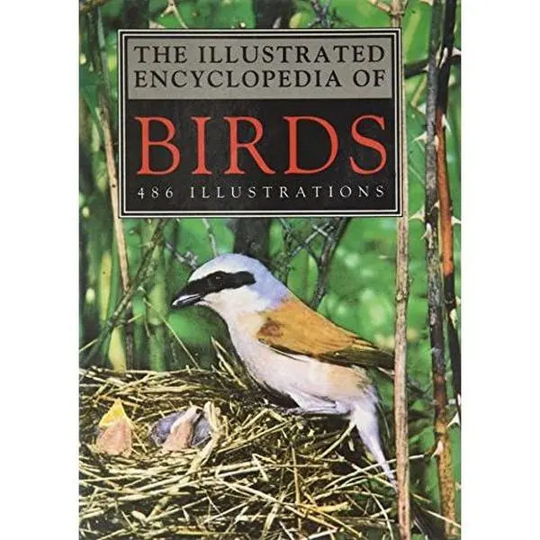 USED-The Illustrated Encyclopedia of Birds by J. Hanzak (Hardcover)