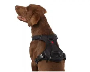 KONG Ultra Durable Waste Bag Harness (Large, Black)