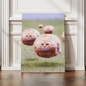 HAYOY Ball Cat Poster, Funny Cute Chubby Furry Animal Room Aesthetic, Cool Wall Decor, Home Canvas Print for College Dorm, Apartment, Teen Girl, Kids Room Modern Cool Design Decoration Artistic