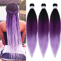 3T Purple Hair Braids