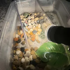 Reptile Heat Lamp with 50W UVA UVB Light Bulb, Basking Spot Light Simulated Sunlight, Heating Lamp for Turtle, Lizard, Snake, Beared Dragon, Amphibians