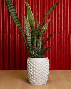 Pointy Flowerpot - Elegant Design for Floral Arrangements, Ideal for Indoor and Outdoor Use