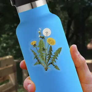 Dandelion Sticker | Flower Sticker
