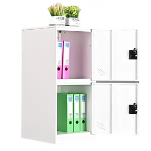 Vertical 2 door Locker