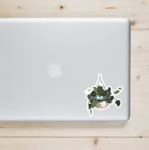 Silver Pothos in a Disco Planter | Sticker