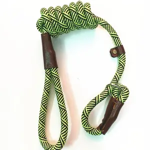 Slip Lead Dog Training Leash