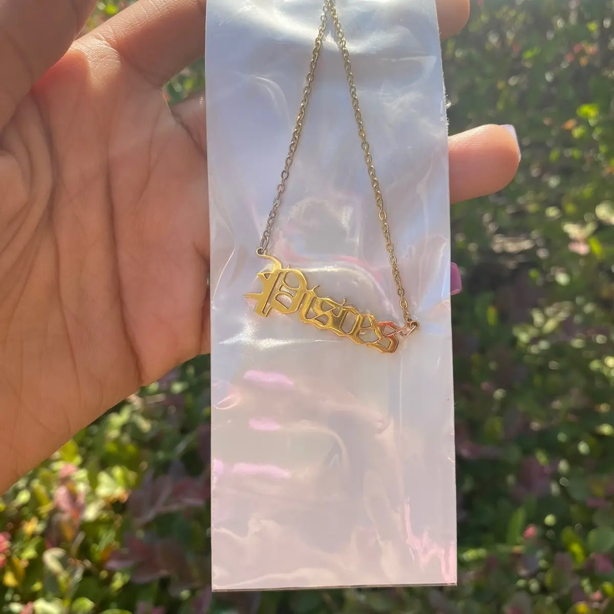 Pisces Zodiac Necklace
