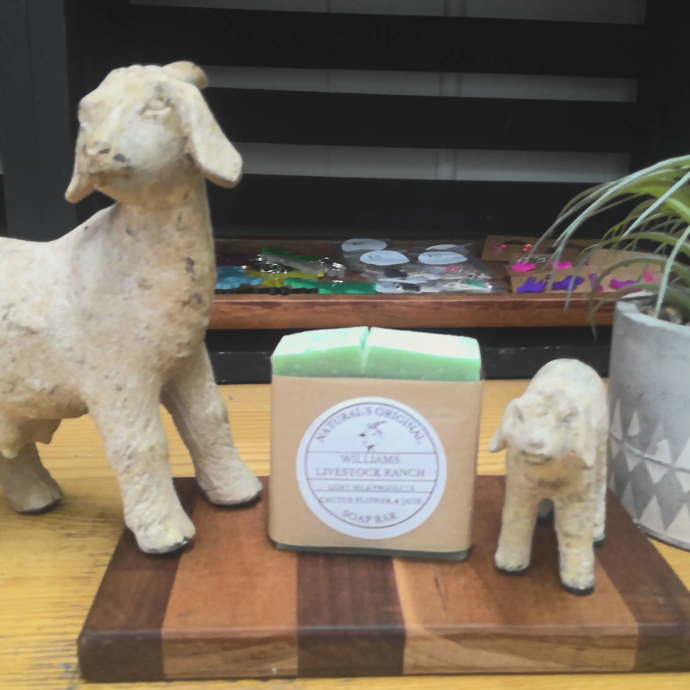 Cactus Flower & Jade Soap bar
