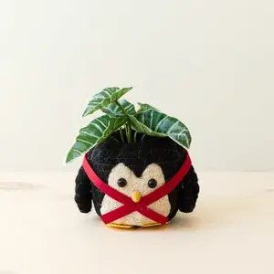 Penguin Planter - Coco Coir Pot | LIKHÂ