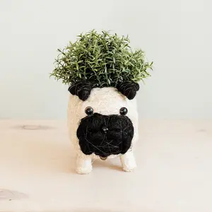 Pug Planter - Coco Coir Pots | LIKHÂ