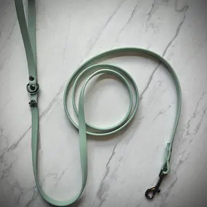 The Nala- Classic Clasp Leash