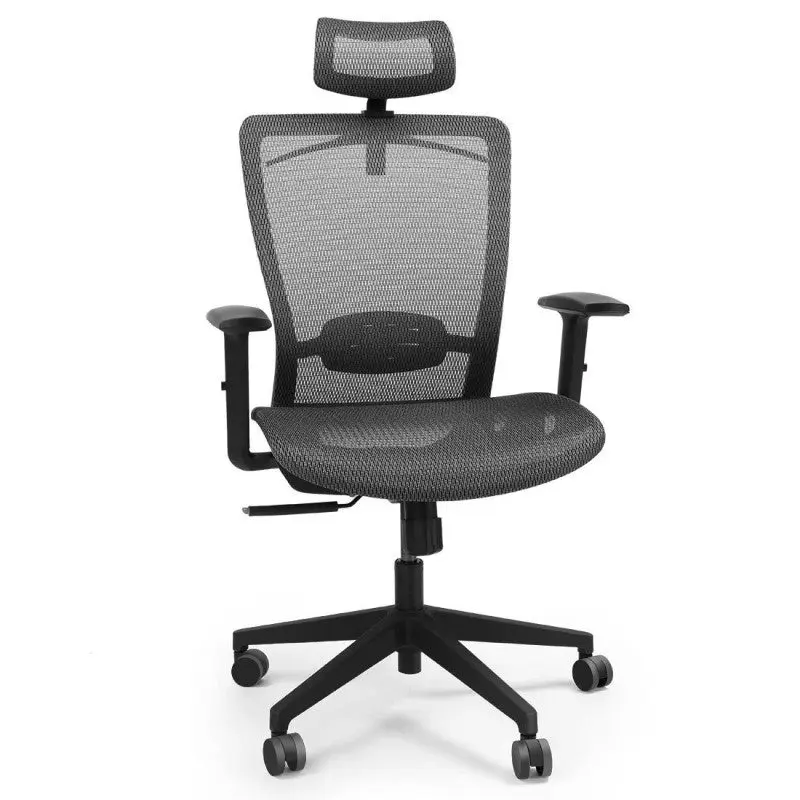 Flexispot Ergonomic Chair OC3 Flexispot Ergonomic Chair OC3