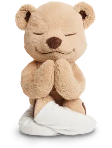 Meddy Teddy