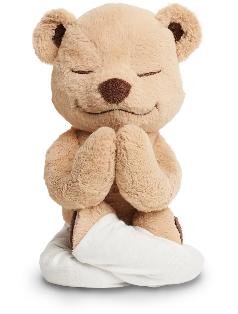 Meddy Teddy