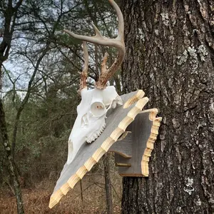 Arkansas Arrowhead Pedestal Plaque for Euro Mount