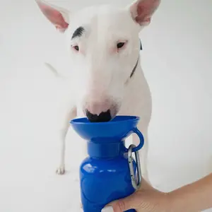 Springer Water Bottle