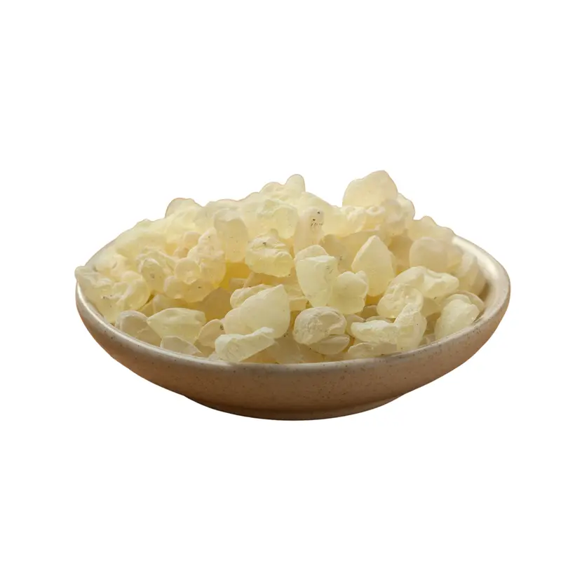 Slofoodgroup Mastic Gum Chios Mastiha from Greece