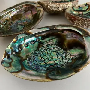 Abalone Shell Incense Burner