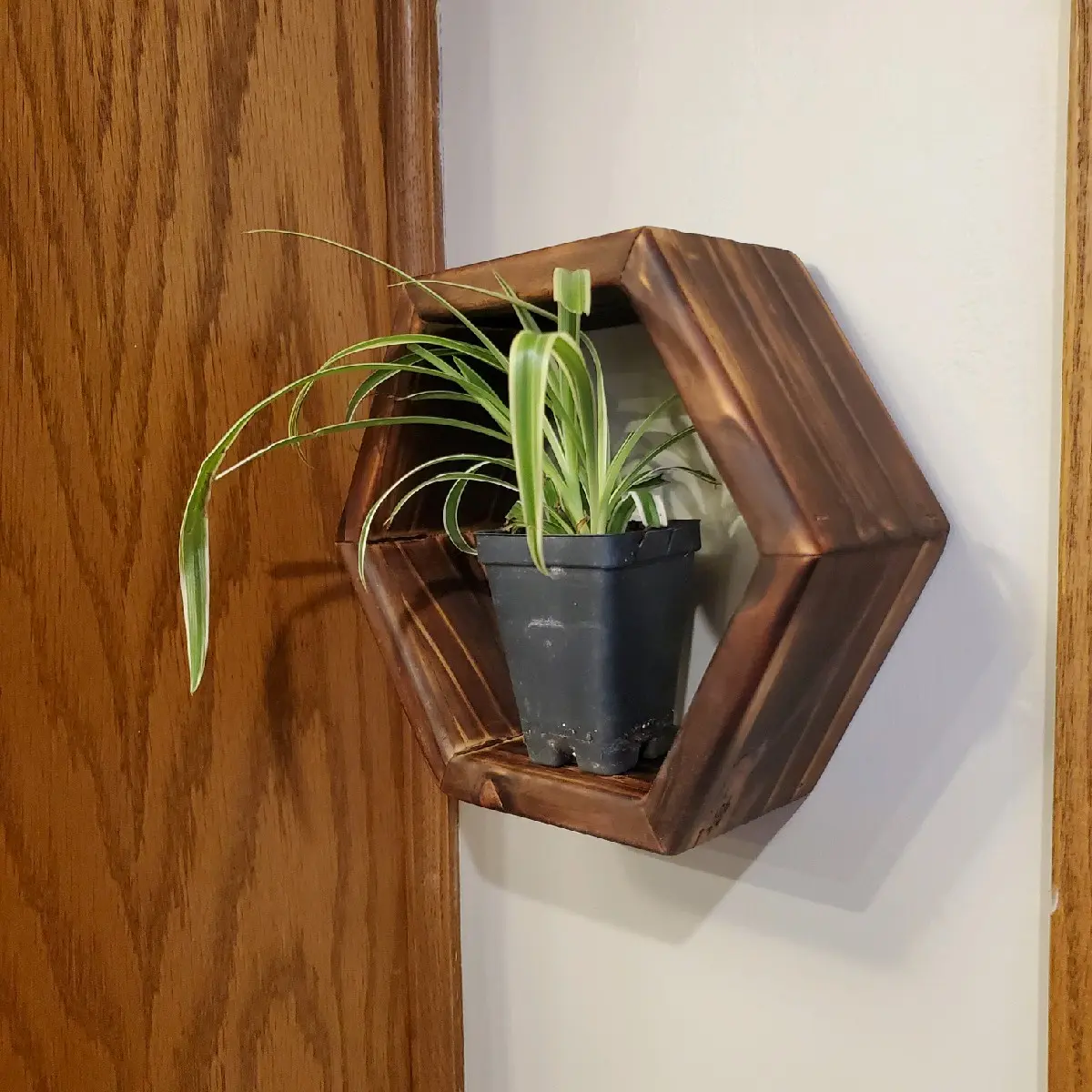Small hexagon shelf