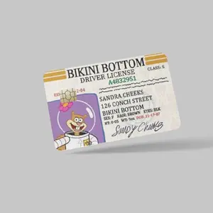 Sandy Cheeks License -Credit Card Skinz