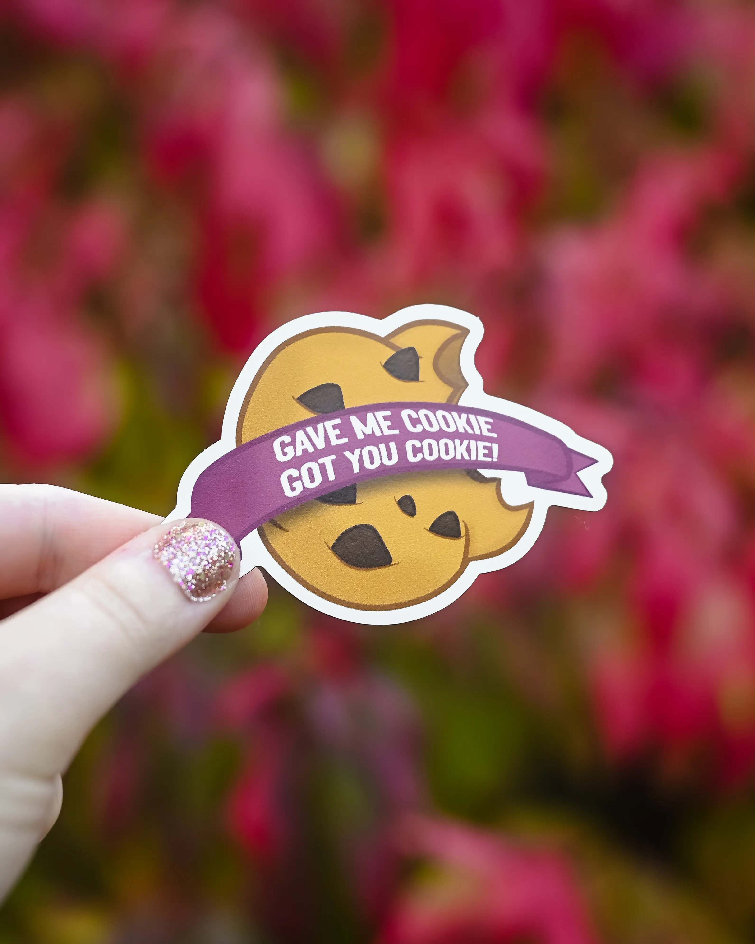 MAGNET Give Me Cookie Got You MAGNET Give Me Cookie Got You
