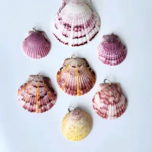 seashell necklace for women. Shell Necklace for guys. real Florida shells.