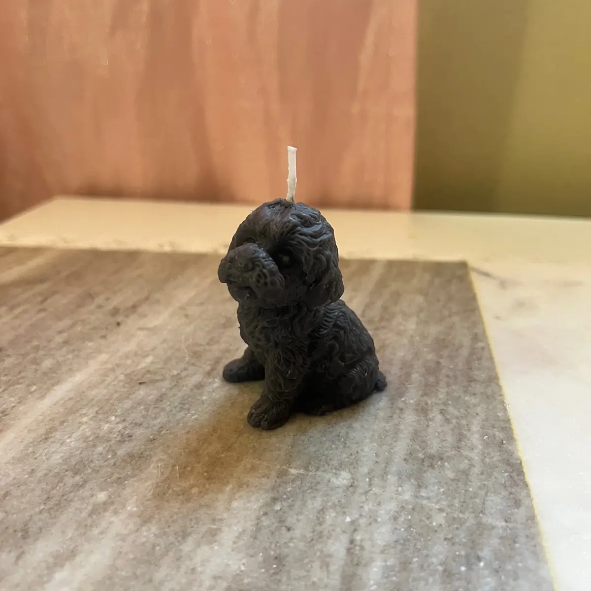 Dog candles
