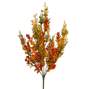 Boxwood Sedum Bush x 7 H20 Yellow/Brown