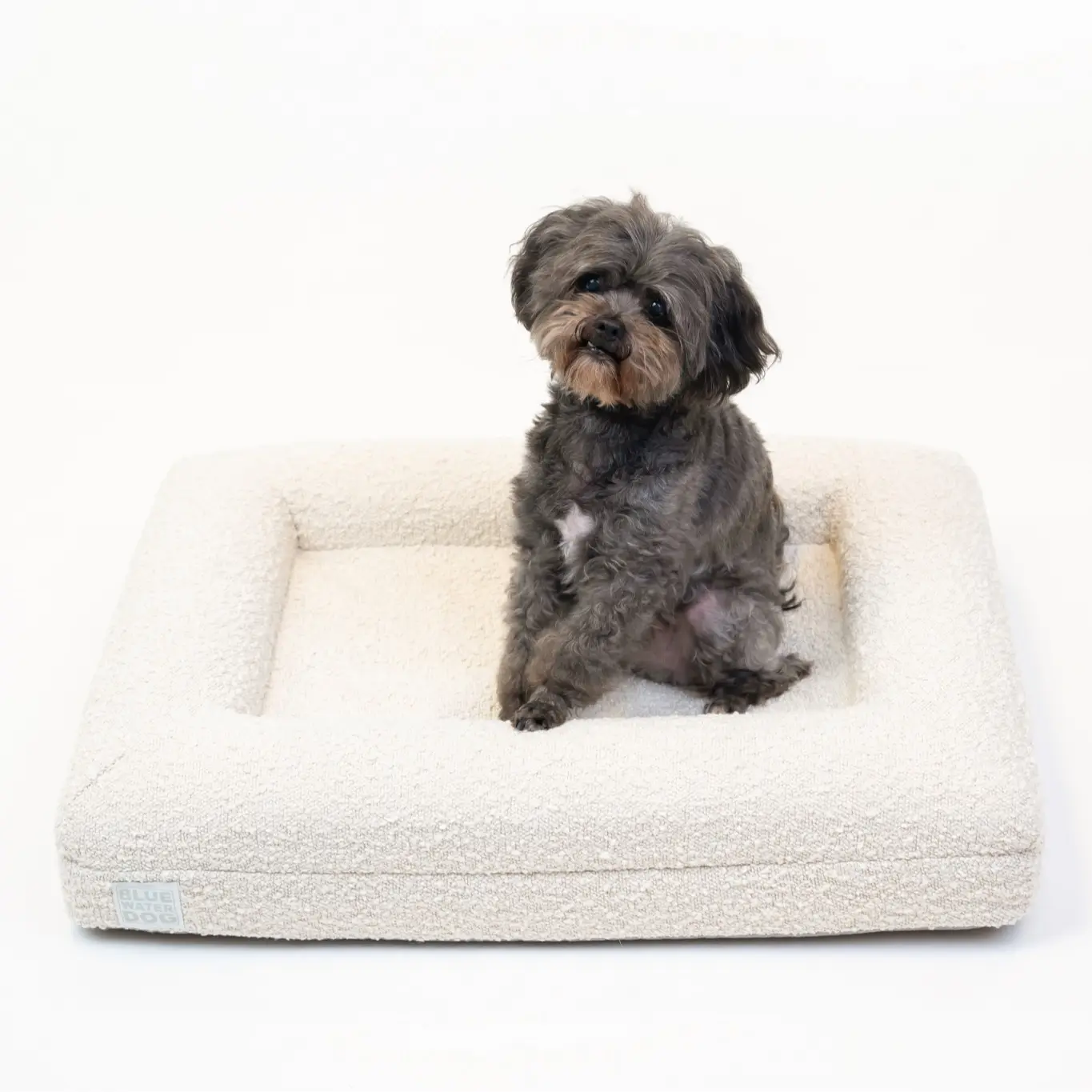 SMALL LUXURY BOUCLÉ BLUEWATER DOG BED IN CLOUD