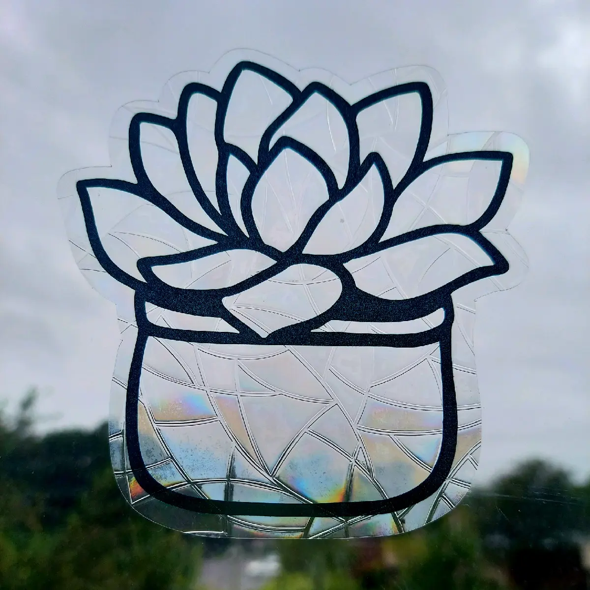 Potted Succulent Suncatcher sticker