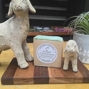 Peppermint & Eucalyptus soap bar