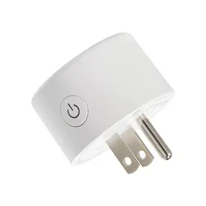Smart Mini Plug compatible with Alexa, Google Home echo dot power outlet